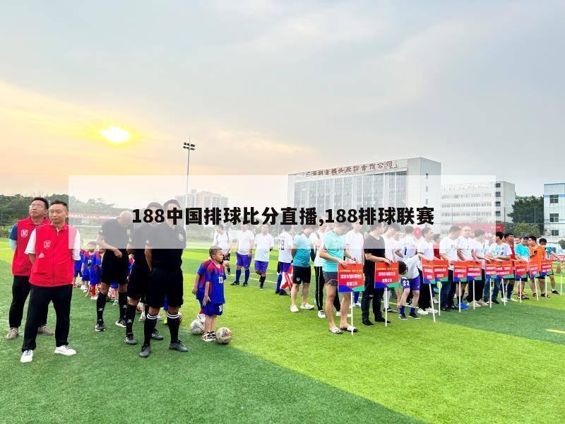 188中国排球比分直播,188排球联赛