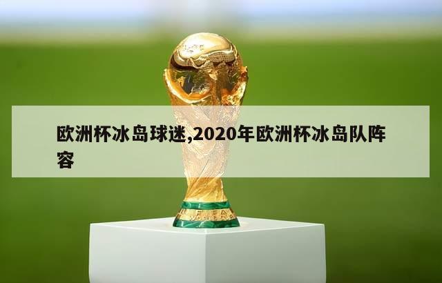 欧洲杯冰岛球迷,2020年欧洲杯冰岛队阵容